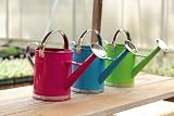 Small watering cans, 3 Assorted: pink, blue, green