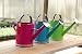 Small watering cans, 3 Assorted: pink, blue, green