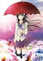 DVD付き さんかれあ(7)限定版