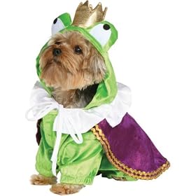 Frog Prince Dog Halloween Costume (Medium)