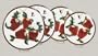 APPLE 3-D Stove / Burner Covers Set of 4 *NEW*