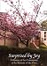Surprised by Joy: A History of the Community of the Servants of the Cross 1882-2004