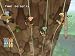 Active-Life-Explorer-With-Mat_2.jpg