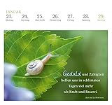 Image de 365 Tage Gelassenheit 2017: Postkartenkalender