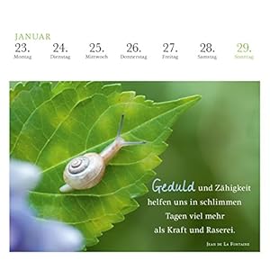 365 Tage Gelassenheit 2017: Postkartenkalender