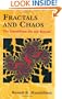 Fractals and Chaos: The Mandelbrot Set and Beyond