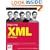 Beginning XML, 4th Edition (Programmer to Programmer)