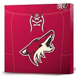 NHL Phoenix Coyotes Dark Jersey Canvas Print (20 x 20)