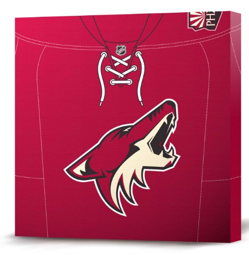NHL Phoenix Coyotes Dark Jersey Canvas Print (20 x 20)