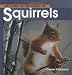 Squirrels (Welcome to the World Series)