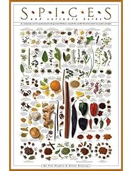 Spices and Culinary Herbs by Tim Ziegler and Bryan Keating 24"x36" Art Print Poster