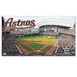 MLB Houston Astros Large Floor Mat