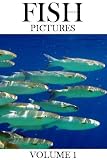 Fish Pictures - Volume 1