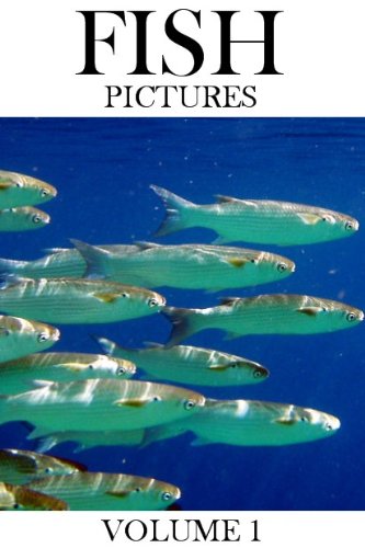 Fish Pictures - Volume 1