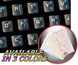 HINDI KEYBOARD STICKERS WITH BLUE LETTERING ON TRANSPARENT BACKGROUND
