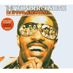 The Wonder of Stevie (Compiled & Mixed By DJ Spinna & Bobbito)