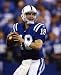 PEYTON MANNING INDIANAPOLIS COLTS 8X10 ACTION PHOTO #40