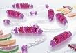 9' Better Homes & Gardens Iridescent & Hot Pink Beaded Garland #24752