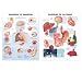 Healthy Lifestyles Chart Set