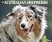 Just Australian Shepherds 2012 Calendar (Just (Willow Creek)) Just Australian Shepherds 2012 Calendar (Just (Willow Creek))