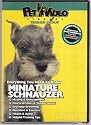 MINIATURE SCHNAUZER DVD! + Dog & Puppy Training Bonus (Doggy DVD)