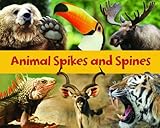Animal spikes and spines