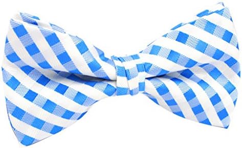 Katcheung Bahar Men's Bow Tie W036 White and Blue Grid F