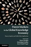 Patent markets in the global knowledge economy : theory, empirics and public policy implications