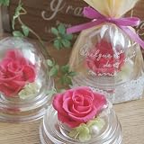 �v���U�[�u�h�t�����[ �A�����[�Y�i�t�����{���[�Y�j