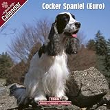Eigenschaften Avonside Publishing Ltd.  / Kalender 2009 Cocker Spaniel - English Cocker Spaniel (ECS)