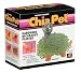 Chia Dinosaur