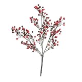 Club Pack Of 24 Red & Burgundy Wild Berry Spray Picks 15