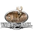 Upstream Images Watch Your Back Color Widow Decal