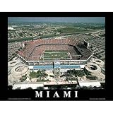 Professionally Framed Mike Smith Miami Dolphins Pro Player Stadium Sports Poster Print - 22x28 with RichAndFramous Black Wood Frame