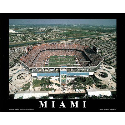 (22x28) Mike Smith Miami Dolphins Pro Player Stadium Sports Poster Print