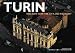 Turin (Italy from Above)