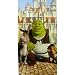Dreamworks Shrek The Third Bath / Beach Towel