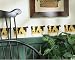 Wallies Warren Kimble Cows Animal Wallpaper Cutouts