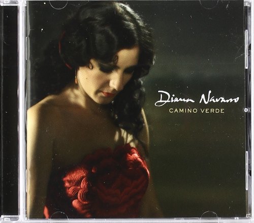 Diana Navarro - Vino amargo Lyrics - Zortam Music
