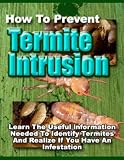 Wood Termite Books