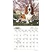 Basset Hounds - 2017 Mini Calendar 7 x 7in