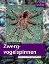 Zwergvogelspinnen: Lebensraum, Haltung, Nachzucht