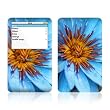 Sweet Blue Design Skin Decal Sticker for Apple iPod video 30GB/ 60GB/ 80GB Player