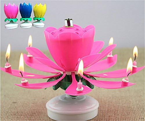 France Wispun Rotating Music Amazing Birthday Candle Flower Special for Birthday (Rotating 4colors)