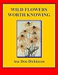 WILD FLOWERS WORTH KNOWING (Illustrated)