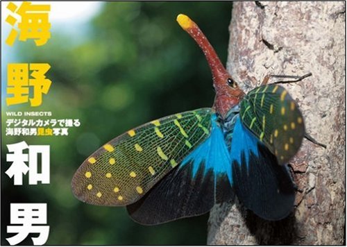 デジタルカメラで撮る海野和男昆虫写真 -wild insects-