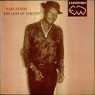 The Lion Of Soweto