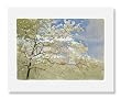Frederic Crowninshield, Spring Blossoms