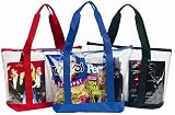 Clear ZIPPER tote with color trim and bottom