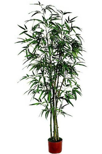 Bamboo 8′ Tree Topiaries Set Of 2, SET OF TWO, GREEN